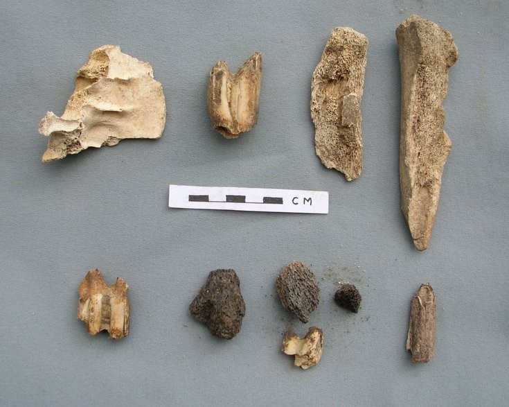 Bone fragments from Cyderhall Souterrain