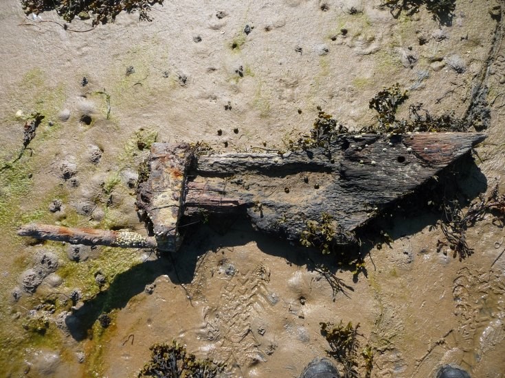 Remains of Embo fishing fleet at Loch Fleet