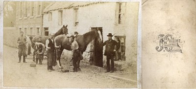 Farriers shoeing horses
