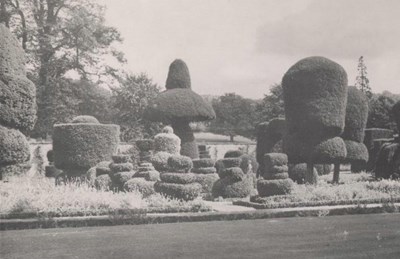 Kathleen Lyon photograph collection - garden Powis Castle