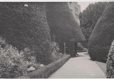 Kathleen Lyon photograph collection - Powis Castle garden