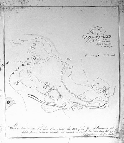 Proncynain 1786