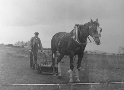 Horse drawn mower on the Royal Dornoch Golf Course