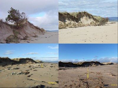 Overview of Dornoch Beach erosion 18 Feb 2009 - 20 Feb 2012