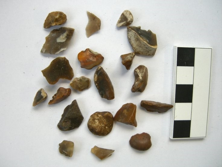 Small flint fragments
