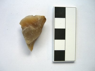 Small flint fragment with a sharp curved edge