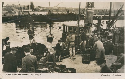 Fishing scenes around Scotland - Landing herring at Wick
