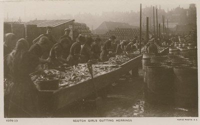 Fishing scenes around Scotland - 'Scotch Girls Gutting Herrings'