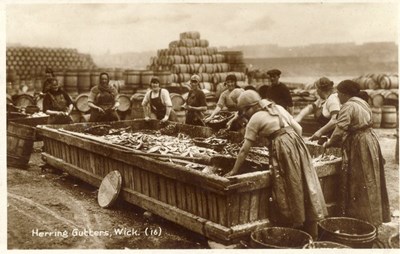 Fishing scenes Scotland 'Herring Gutters Wick''