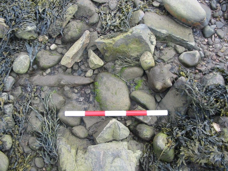 Possible Crannog at Creich - image 3