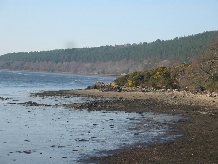 Possible Fish Trap at Creich - site view