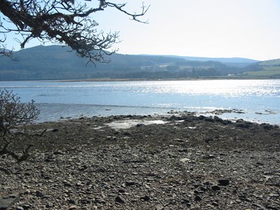 Possible Fish Trap at Creich - image 2