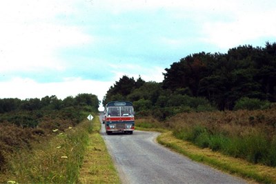 Single deck buses on Dornoch to Embo road
