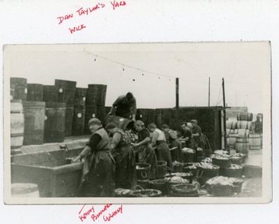 At work in Dan Taylor's yard in Wick