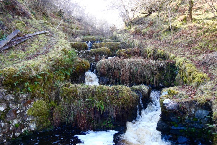 Salmon ladder at Torbol