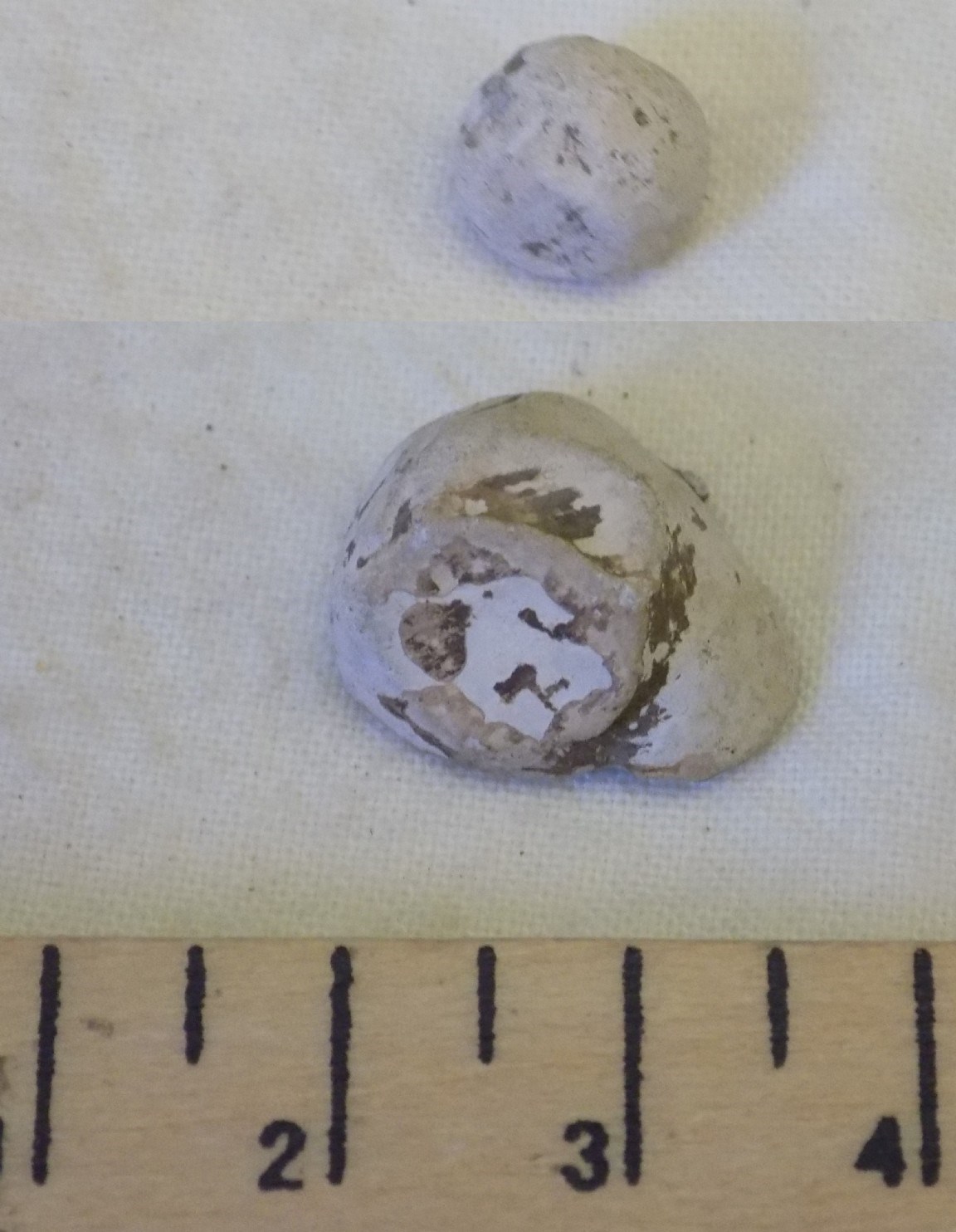 Two pieces of lead shot found at Dalnamain