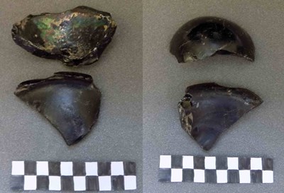 Medieval glass fragments