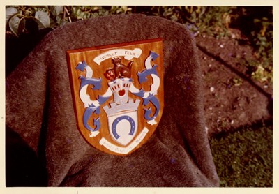 Colour photograph of the Dornoch Coat of Arms
