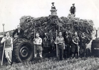 Harvesting at Cuthill farm 1950