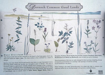 Common Good Land sign 1997 Dune Grassland