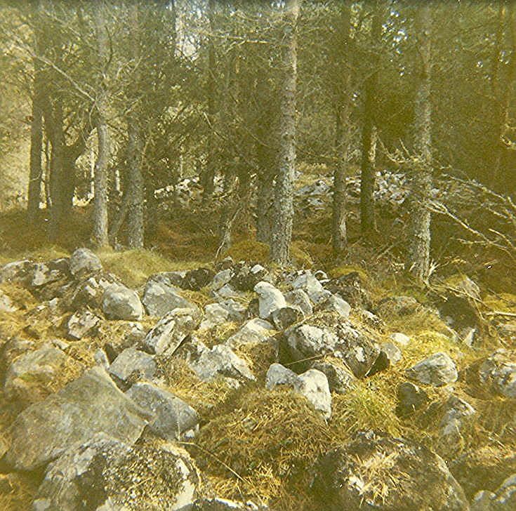 Chambered Tomb at Harriet Plantation ~ Ruins