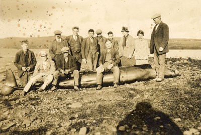 Group of people with Fin Whale