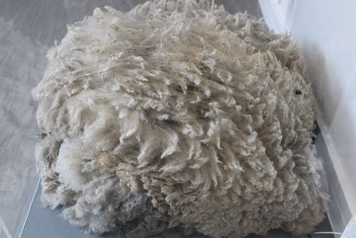 Various items used in the production of wool
