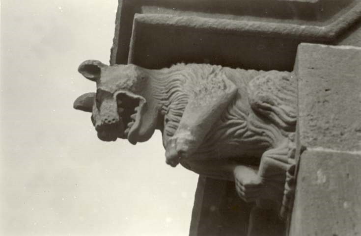 Cathedral gargoyles