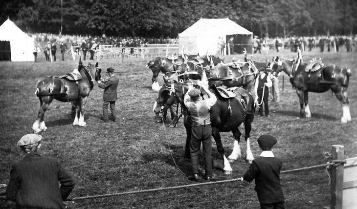 Photograph of Sutherland Agricultural show, Golspie, 1913