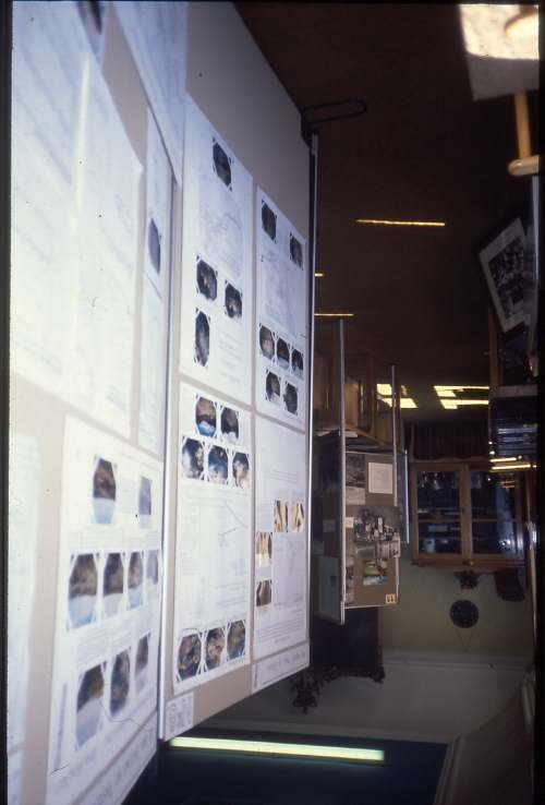 DHS summer exhibition 1989