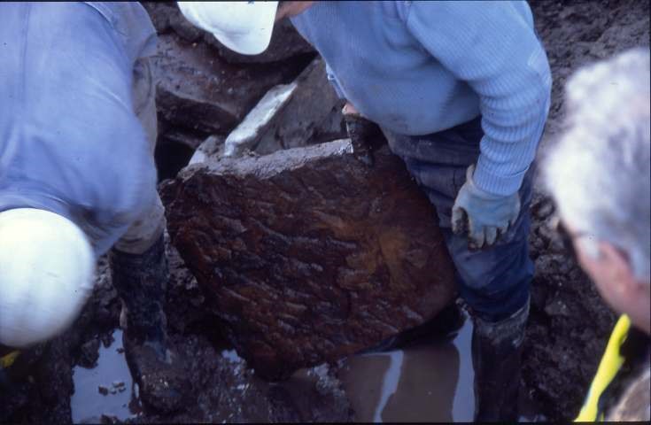 Dornoch Burn well excavation