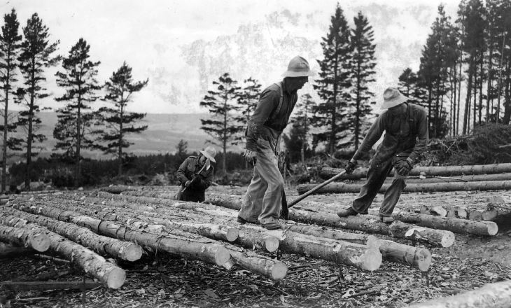 Canadian Forestry Corps - Historylinks Archive