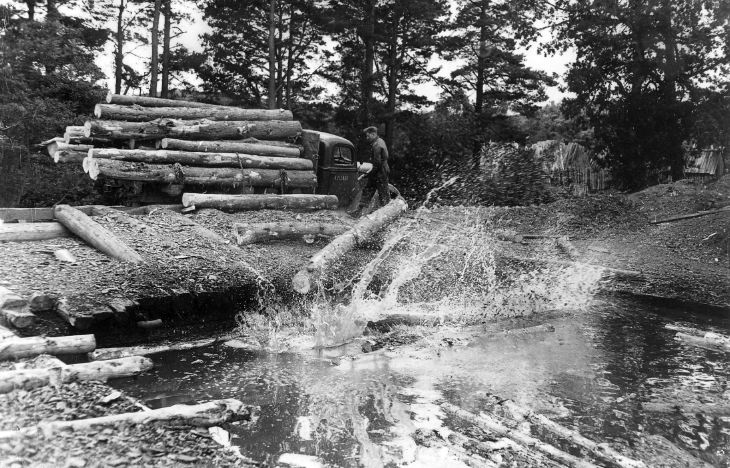 canadian-forestry-corps-historylinks-archive