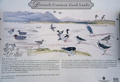 Common Good Land sign 1997 - Saltmarsh