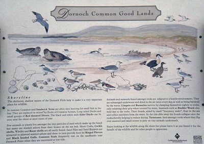 Common Good Land sign 1997 Shoreline