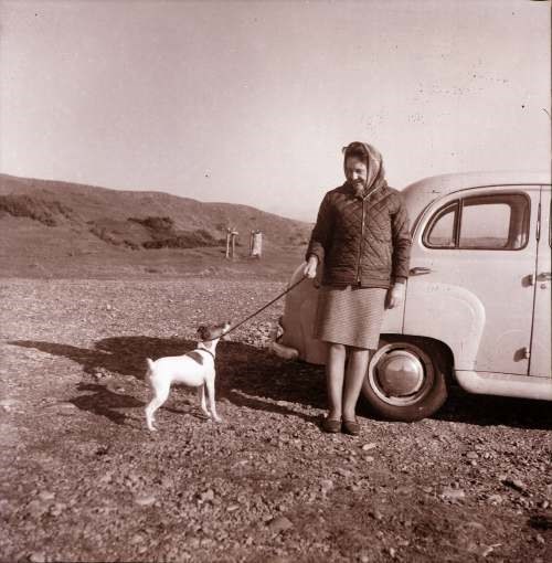 Woman, dog and car