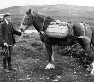 Man with packhorse