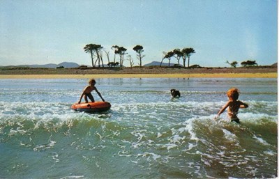 'Palm Beach' Littleferry