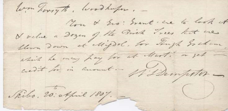 Note re trees at Migdale 1807