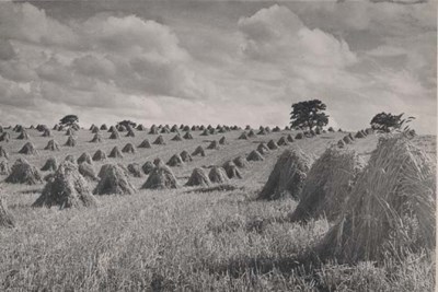 The Photography of Kathleen Lyon - hay stacked in a field