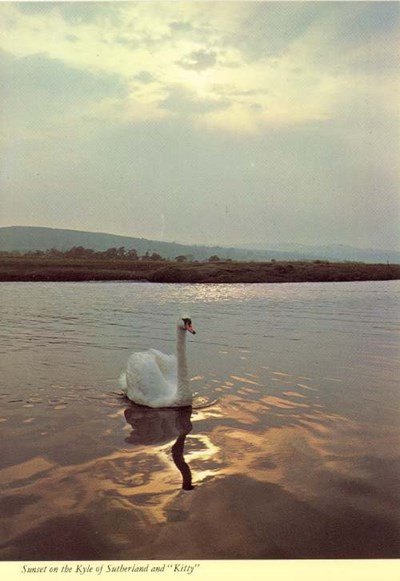 Furness Postcard Collection -   Swan on Kyle of Sutherland