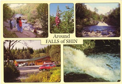 Furness Postcard Collection -  Falls of Shin