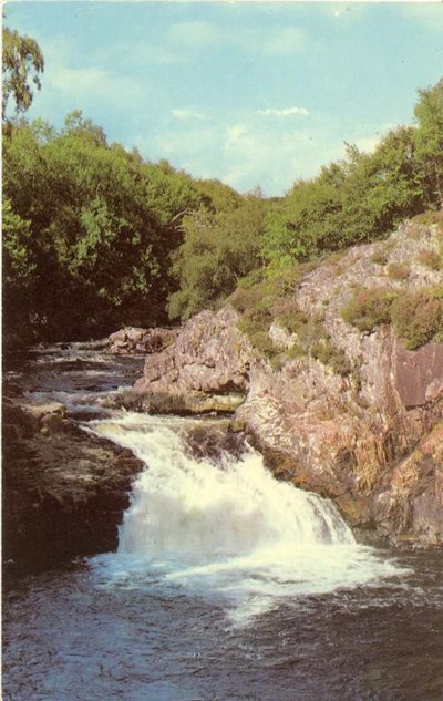 Furness Postcard Collection -  Falls of Shin