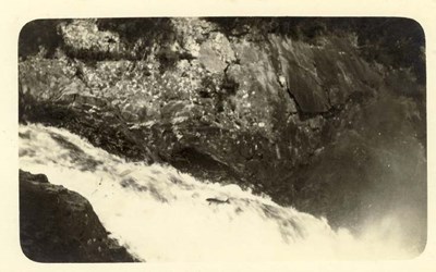 Furness Postcard Collection -  Salmon leaping the Falls of Shin