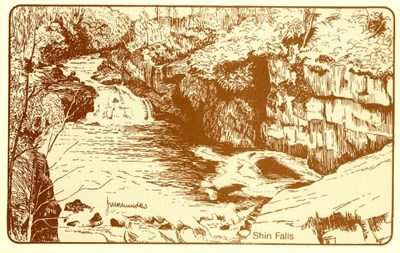 Furness Postcard Collection -  Drawing of the Shin Falls