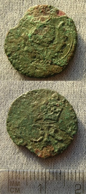Coin found in Dornoch Woods