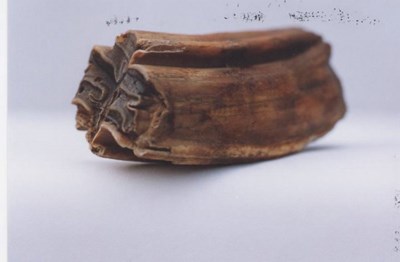 Horse bone from Embo 1992