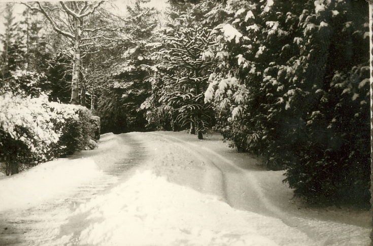 Driveway, in snow