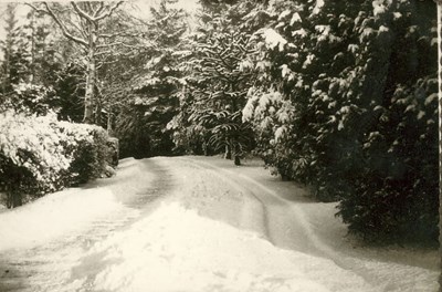 Driveway, in snow