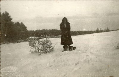 Snow Scene
